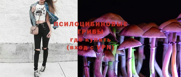 не бодяженный Карпинск