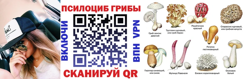 Купить закладки  Давлеканово  Псилоцибиновые грибы Psilocybine cubensis 